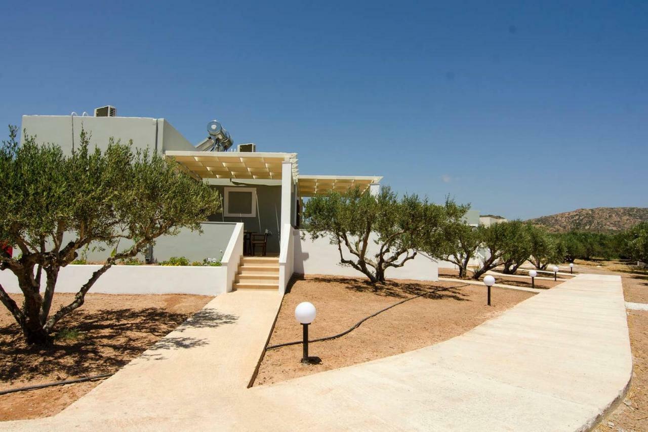 Giorgos Villa Palekastro Ngoại thất bức ảnh