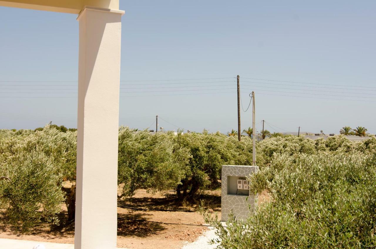 Giorgos Villa Palekastro Ngoại thất bức ảnh